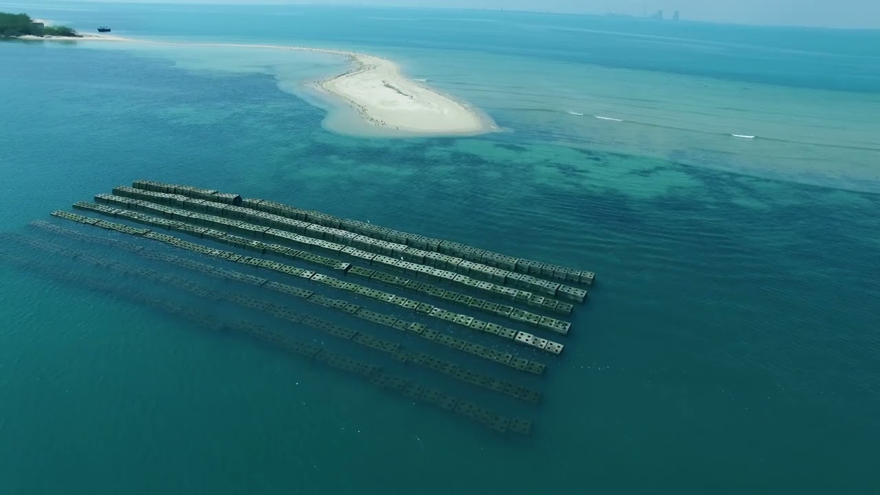 Resilient Mannar,  A Journey of Conservation & Sustainability, Gulf of Mannar, Tamil Nadu
