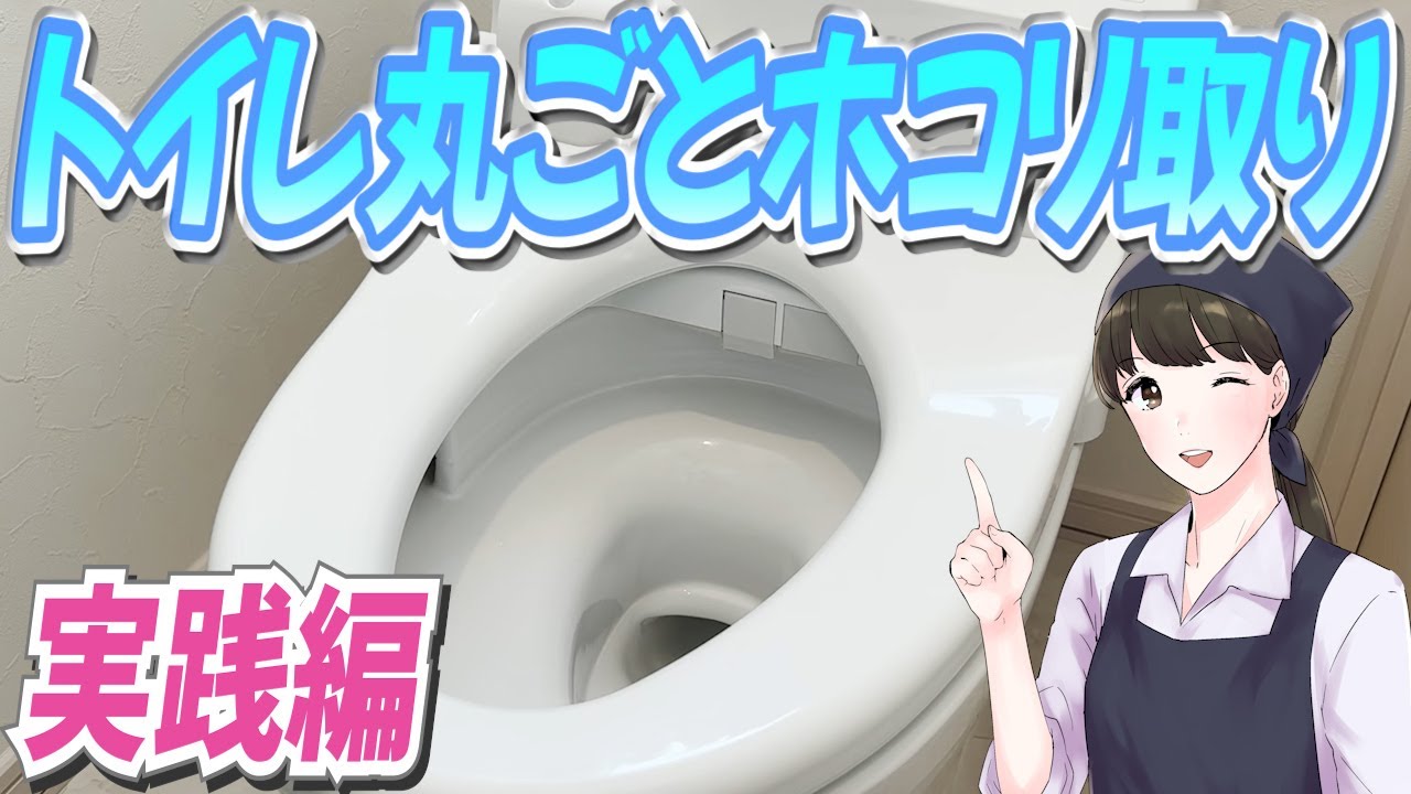 ウェーブハンディワイパーでトイレ室内のホコリを取る方法！