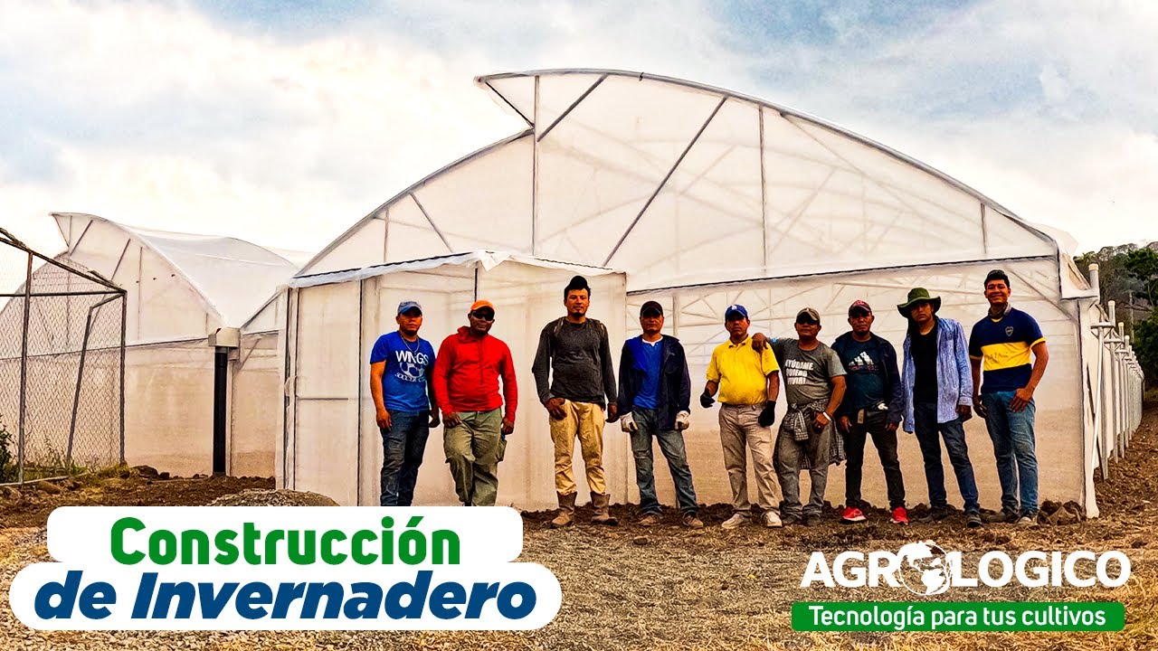 Construcción e instalación exitosa de invernadero para cultivar hortalizas