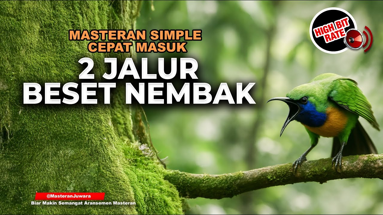 🔴 Live Cucak Cungkok Super Gacor Tembakan 2 Jalur Jenggot dan Kunti