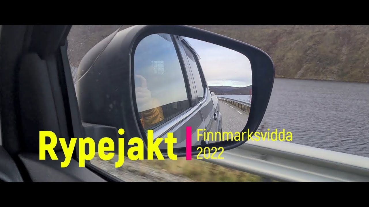 Rypejakt med hund, høst 2022, Finnmarksvidda