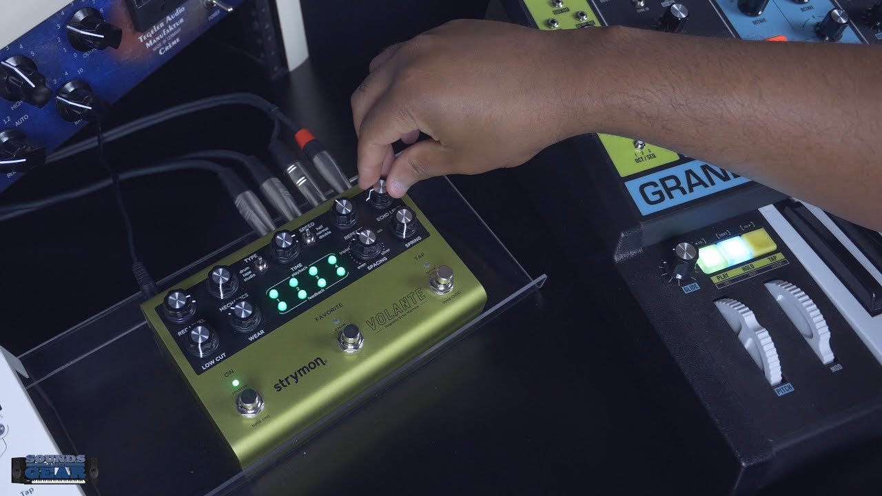 Strymon Volante Magnetic Echo + Moog Grandmother