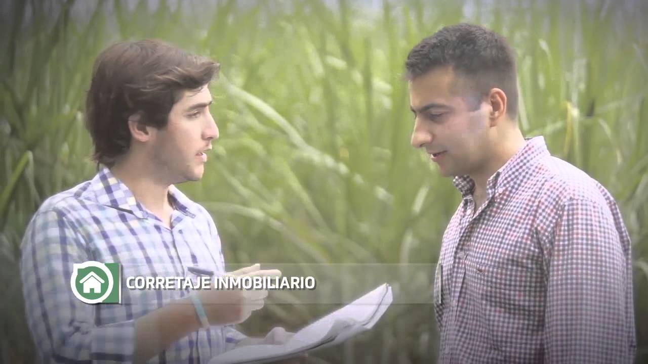 USPT, DISTINTA COMO VOS