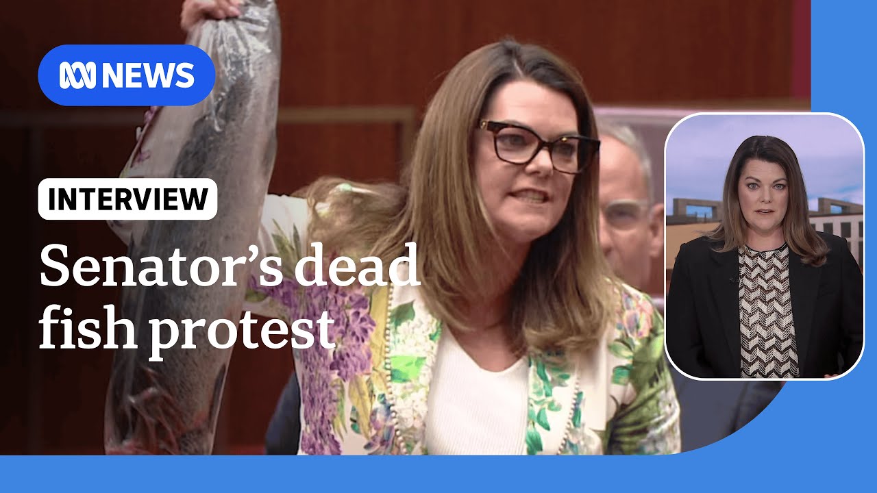 'This is a bad law': Greens Senator Sarah Hanson-Young on her dead salmon protest | ABC NEWS