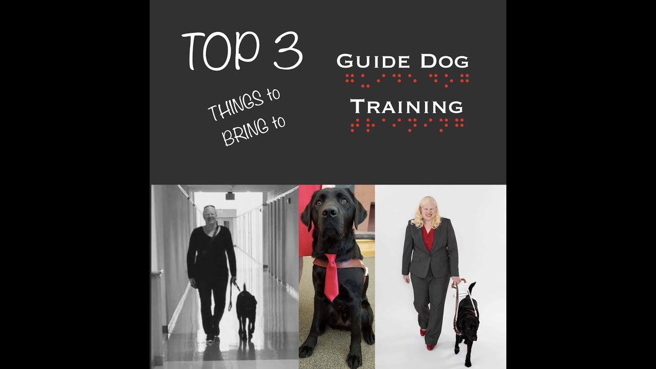 Packing for Guide Dog Training | TOP Things to Bring to Guide Dog Training | What NOT to Bring!