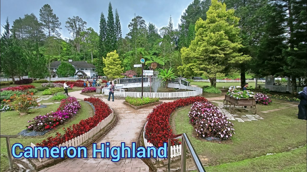 Cameron Highland Malaysia