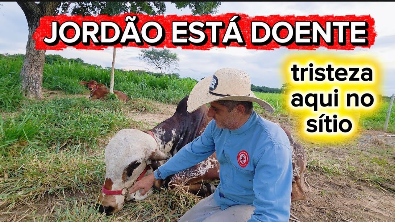 DIA TRISTE AQUI NO SÍTIO. JORDÃO ADOECEU😥😭