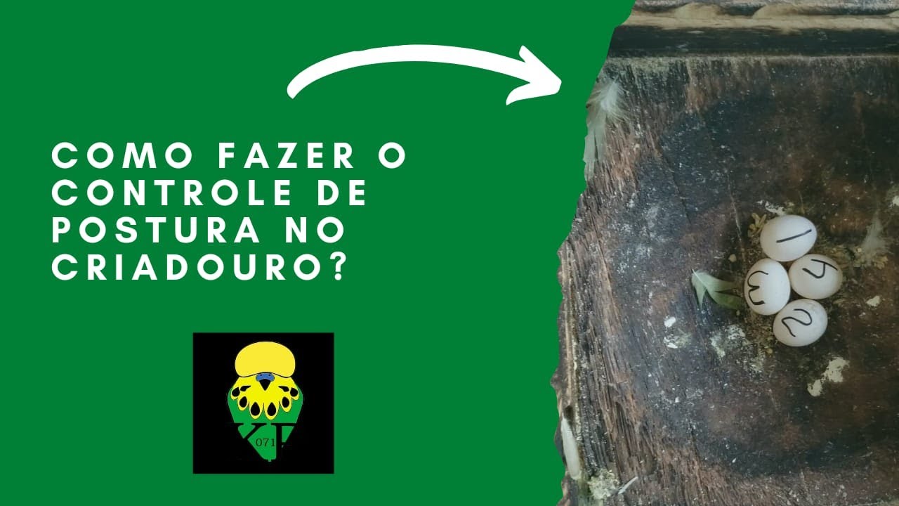 CONTROLE DE PLANTEL. SIMPLES E PRÁTICO.