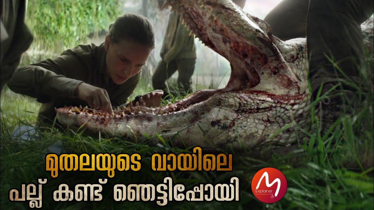മുതലയുടെ വായിൽ സ്രാവിന്റെ പല്ല് രഹസ്യം എന്താണ് | Mallu Explainer