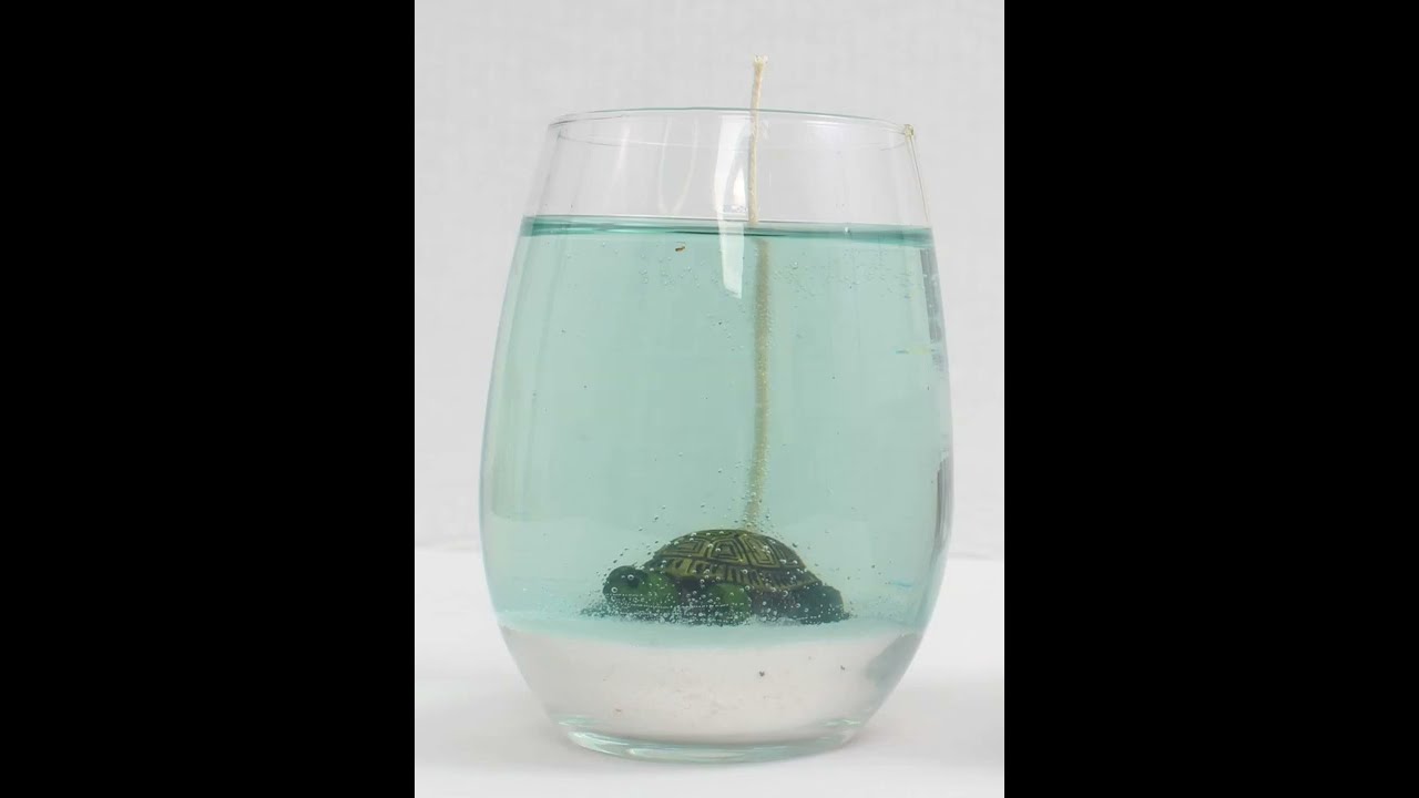 Aqua Turtle Gel Candle