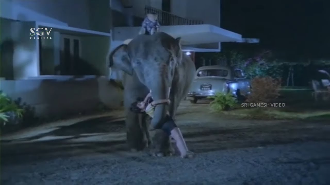 Elephant and Monkey Kidnaps Dr. Vishnuvardhan's Son at Night | Mahalakshmi | Jayasimha Movie Scene