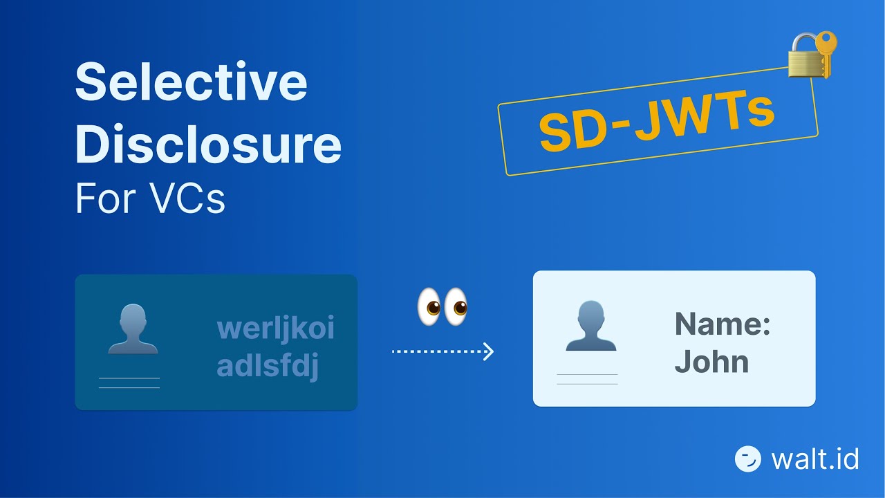 Selective Disclosure for Verifiable Credentials: A Guide