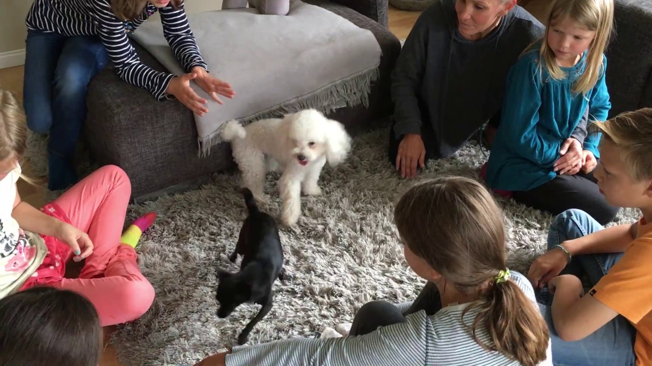 Hund und Kind 