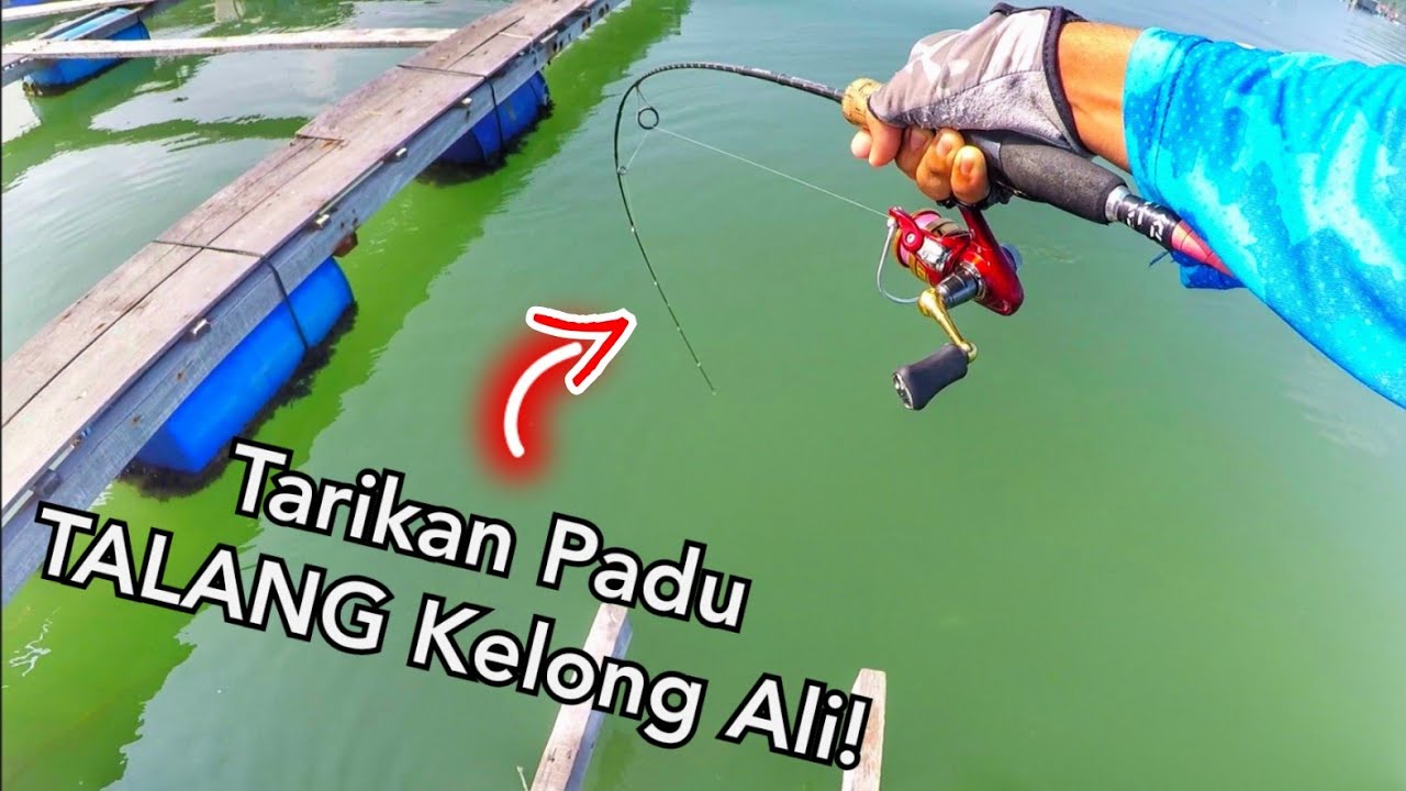Gasak TALANG SAIZ SEDAP Di Kelong Ali Pulau Aman!