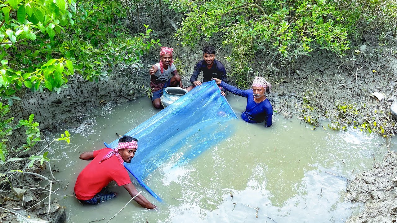 ছোট্ট একটা ডোবা ছিসে প্রচুর পারশে মাছ পেলাম সেই মাছ বাড়ির পুকুরে ছাড়া হল@SUNDARBANCIRCLE-dx9gg