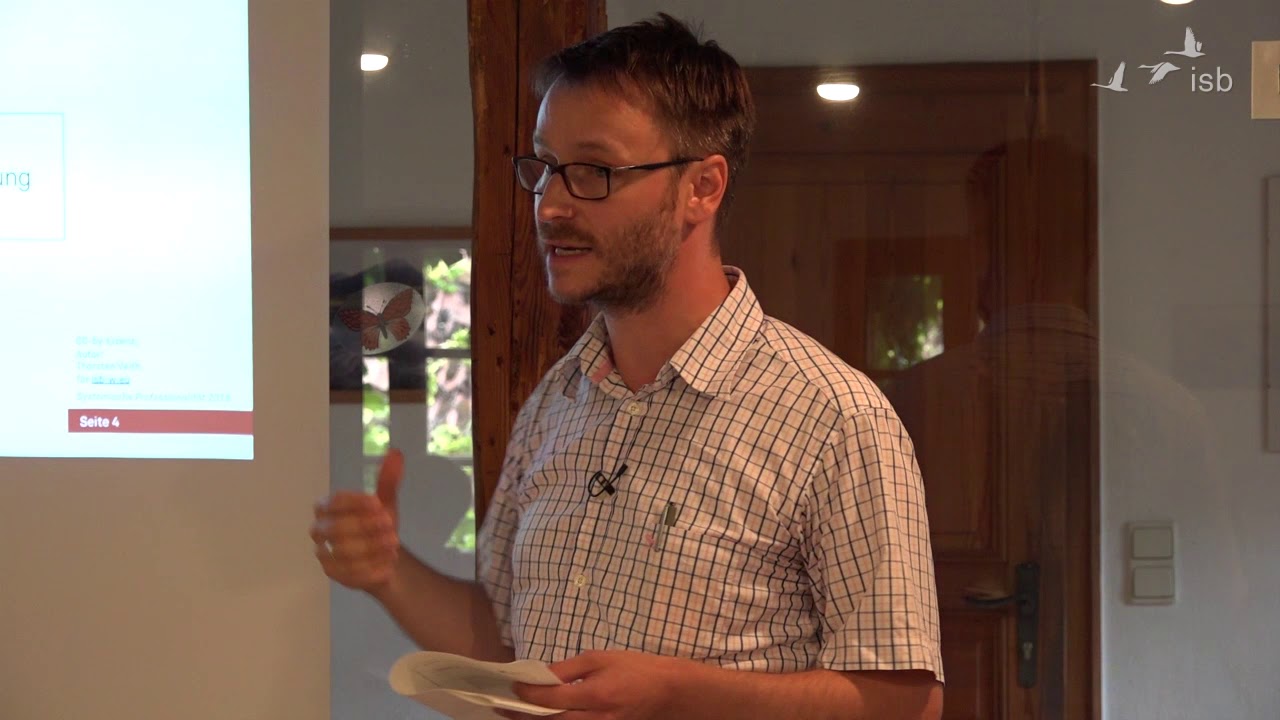 System-Lernen: Systemische Perspektiven auf Lernkultur in Organisationen; Thorsten Veith