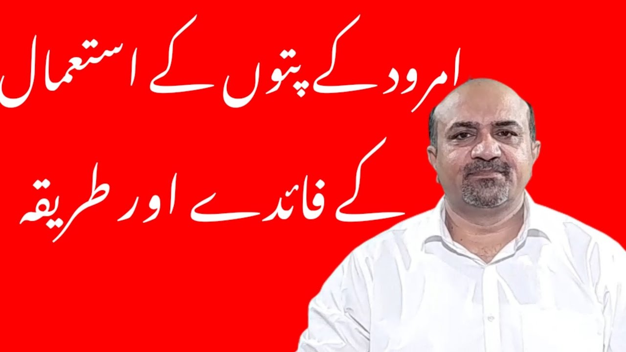 Health Benefits Of Guava Leaves | How To Use Guava Leaves| dr afzal