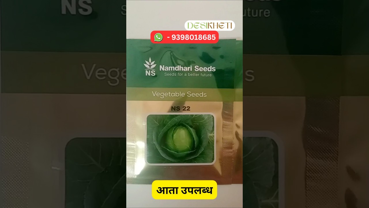 NS 22 Cabbage Seeds | Desikheti - Buy Seeds Online | Contact - 9398018685 