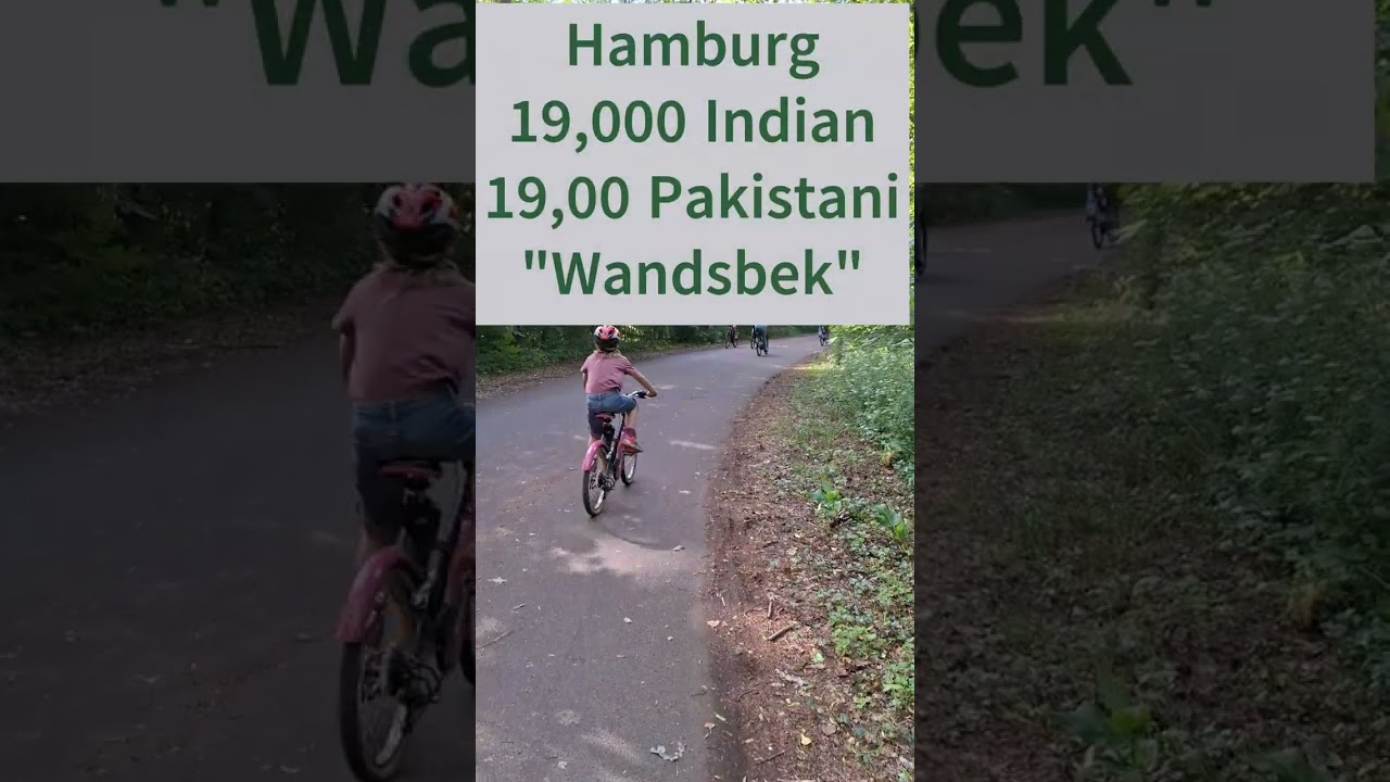 Exploring the Vibrant Indian and Pakistani Communities in Germany