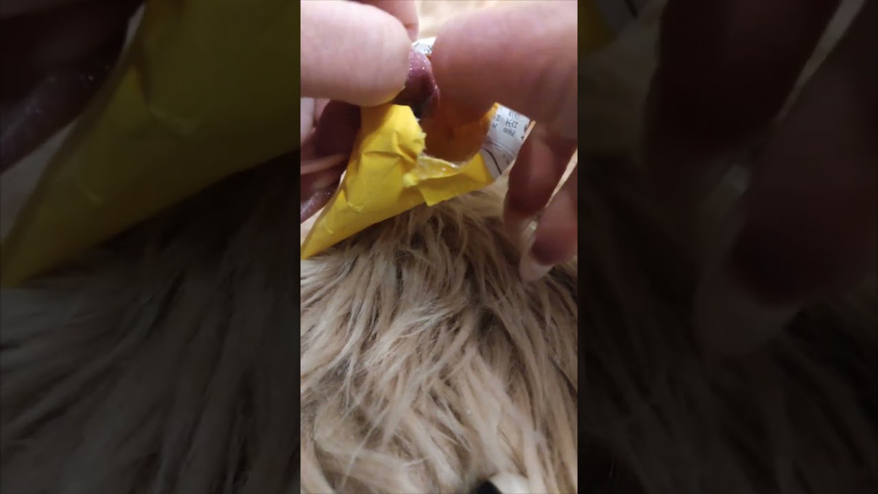 [Asmr] Unpacking stickers from AliExpress 💫 #unboxing #stickers #anime #Kakegurui #yumeko