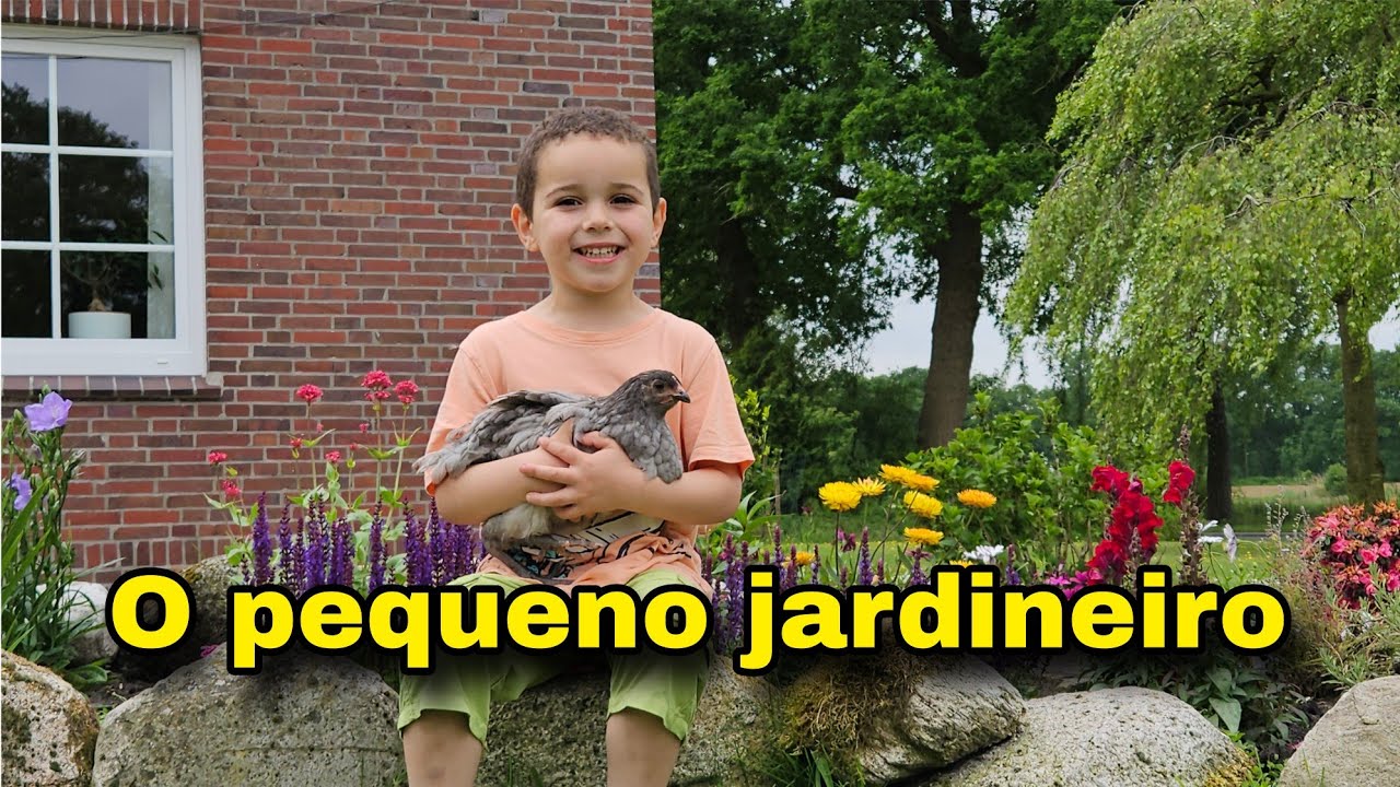 Como fiz meu jardim tão colorido | Vida na Alemanha