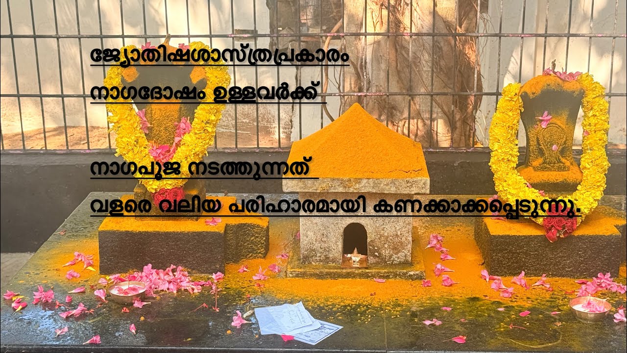 🐍 വലിയവീട്ടിൽ ഭദ്രകാളി ക്ഷേത്രത്തിലെ നാഗരിപൂജ | നാഗദോഷം മാറാൻ ശക്തമായ ആരാധന | Nagari Pooja Kerala