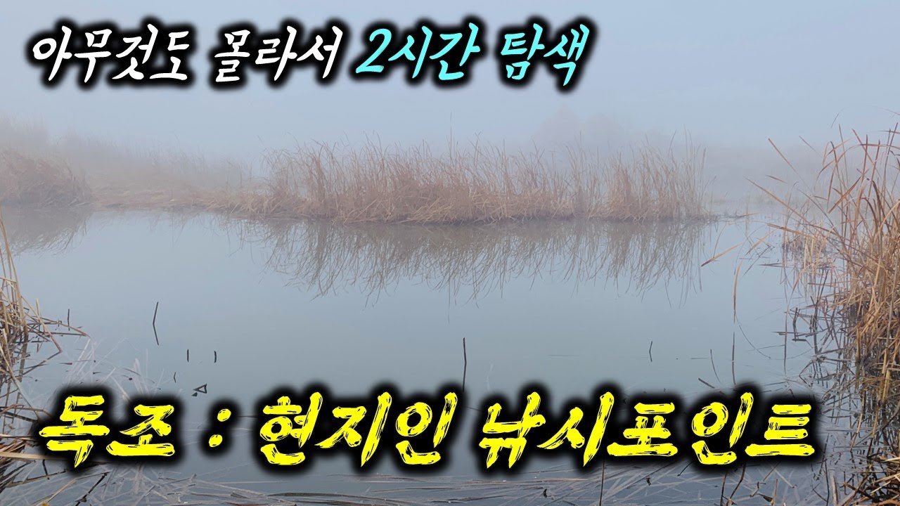 👍 [경기/화성] 독조를 즐길 수 있는 둠벙 낚시포인트를 소개합니다.(feat. 현지인 비밀포인트) 💯 #피지컬100X3 #민물낚시 🐟 #붕어낚시