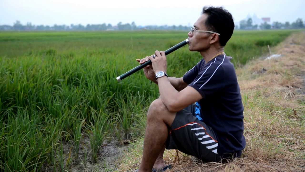 Thai flute เสียงขลุ่ยเรียกนาง