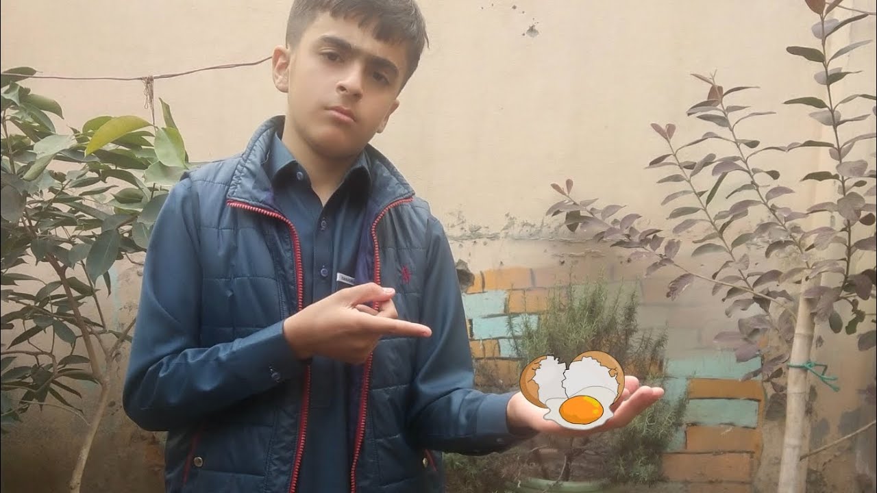 Hamari doves ka anda kharab ho Gaya😞