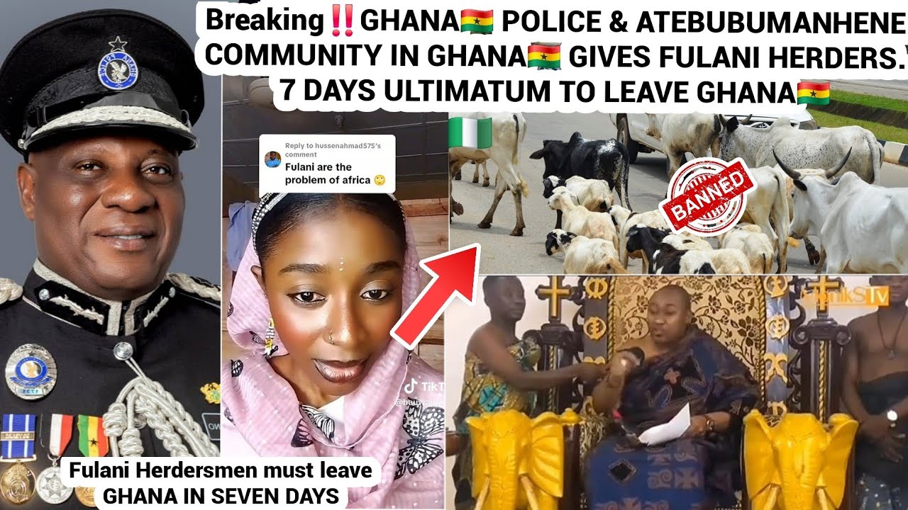 Срочная новость‼️ Полиция Ганы 🇬🇭 и община Атебубуманхене в Гане дали фулани 7 дней на то, чтобы ...