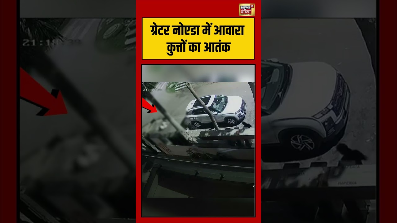 Greater Noida में आवारा कुत्तों का आतंक | #streetdog #viralvideo #viralnews #shorts