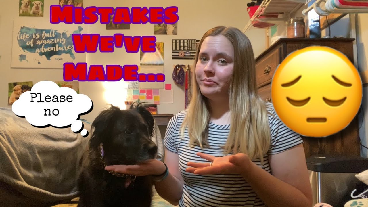 10 Mistakes I Made as a First Time Service Dog Handler