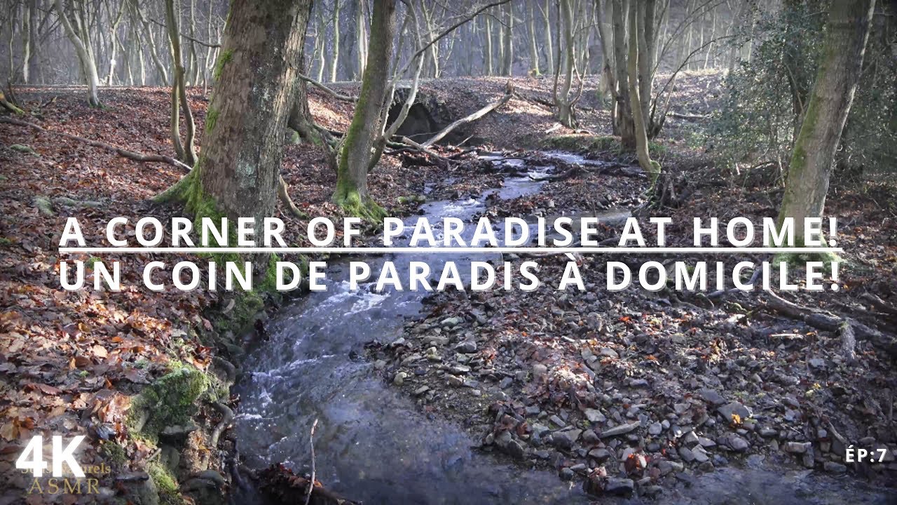 Un coin de PARADIS &agrave; DOMICILE! Pour la concentration, le repos, le SOMMEIL et la relaxation! ASMR
