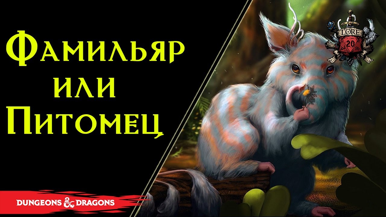 Фамильяр – волшебный питомец и помощник / DnD