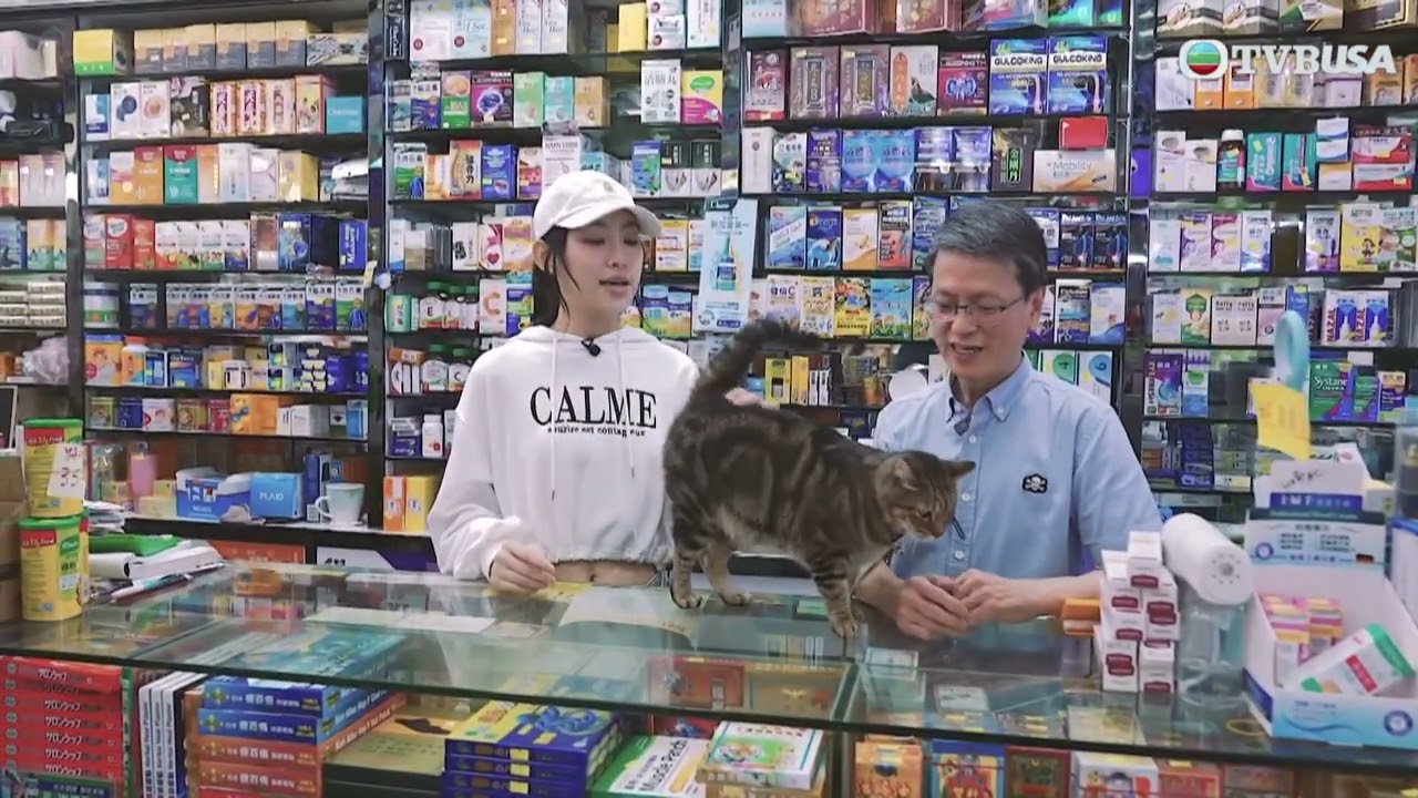 他和她的喵店長2｜Gigi先往開業六十年的藥房請中醫師把個脈！獨眼貓店長「叻叻」備受街坊寵愛，想不到曾有傷人紀錄？｜炎明熹｜寵物綜藝｜TVBUSA