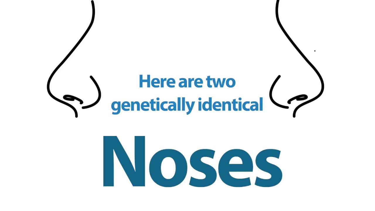 Sanger Institute - Genetics and environment combine to give everyone a unique sense of smell