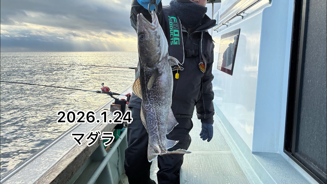 2026.1.24