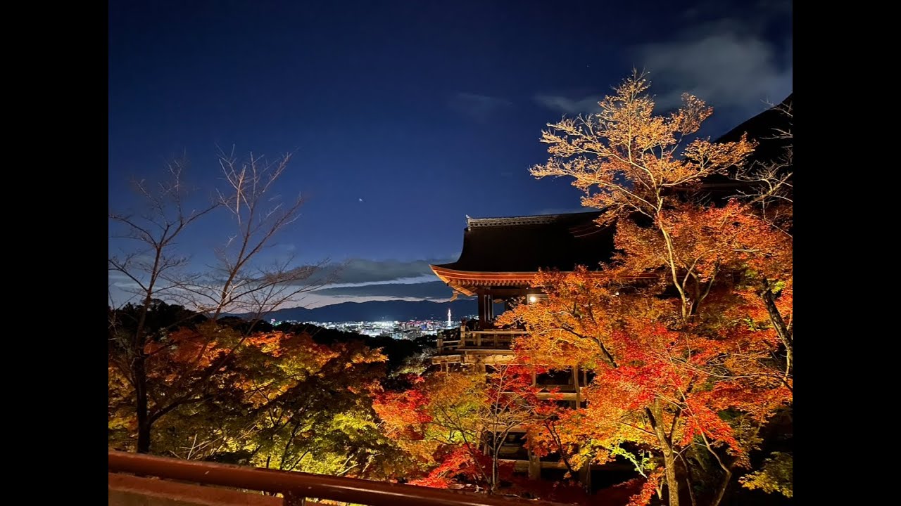 【4K】JapaneseDAILYLIFE  日本の風景