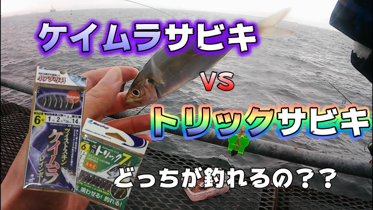 本牧海釣り施設で検証！ケイムラサビキとトリックサビキどっちが釣れるの？～初心者の釣れない系釣り動画～