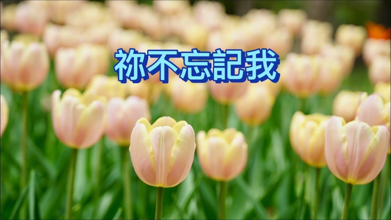 祢不忘記我