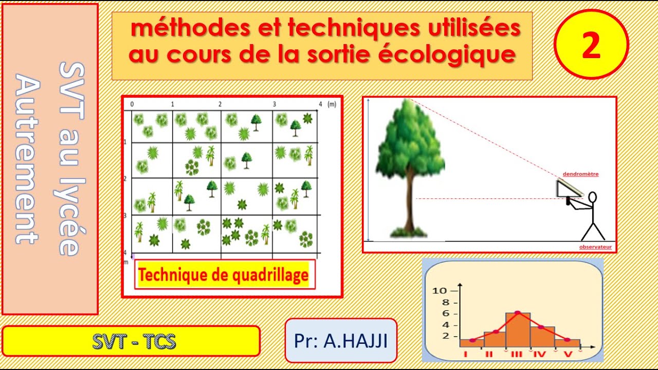 écologie: Technique du quadrillage et aire minimale d'inventaire - explication et exercices