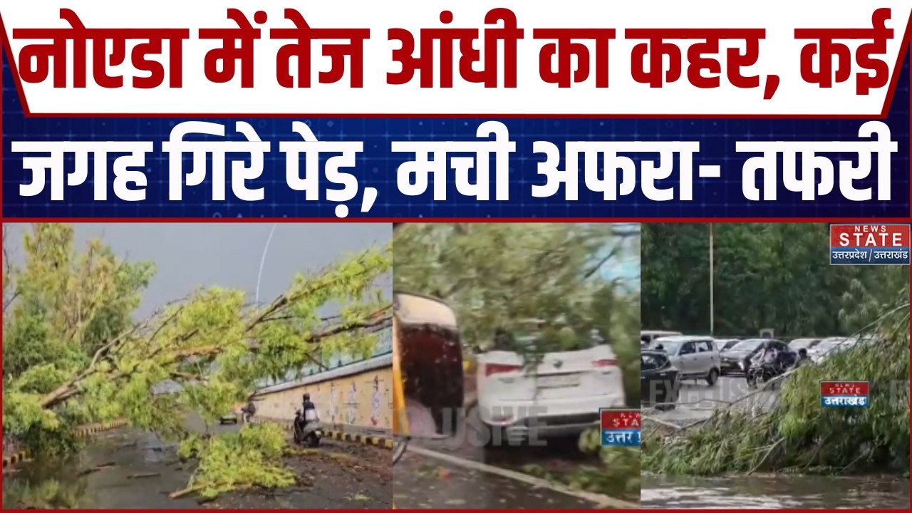 Noida Heavy Rain Alert: नोएडा में तेज आंधी का कहर, कई जगह गिरे पेड़, मची अफरा- तफरी | UP Weather