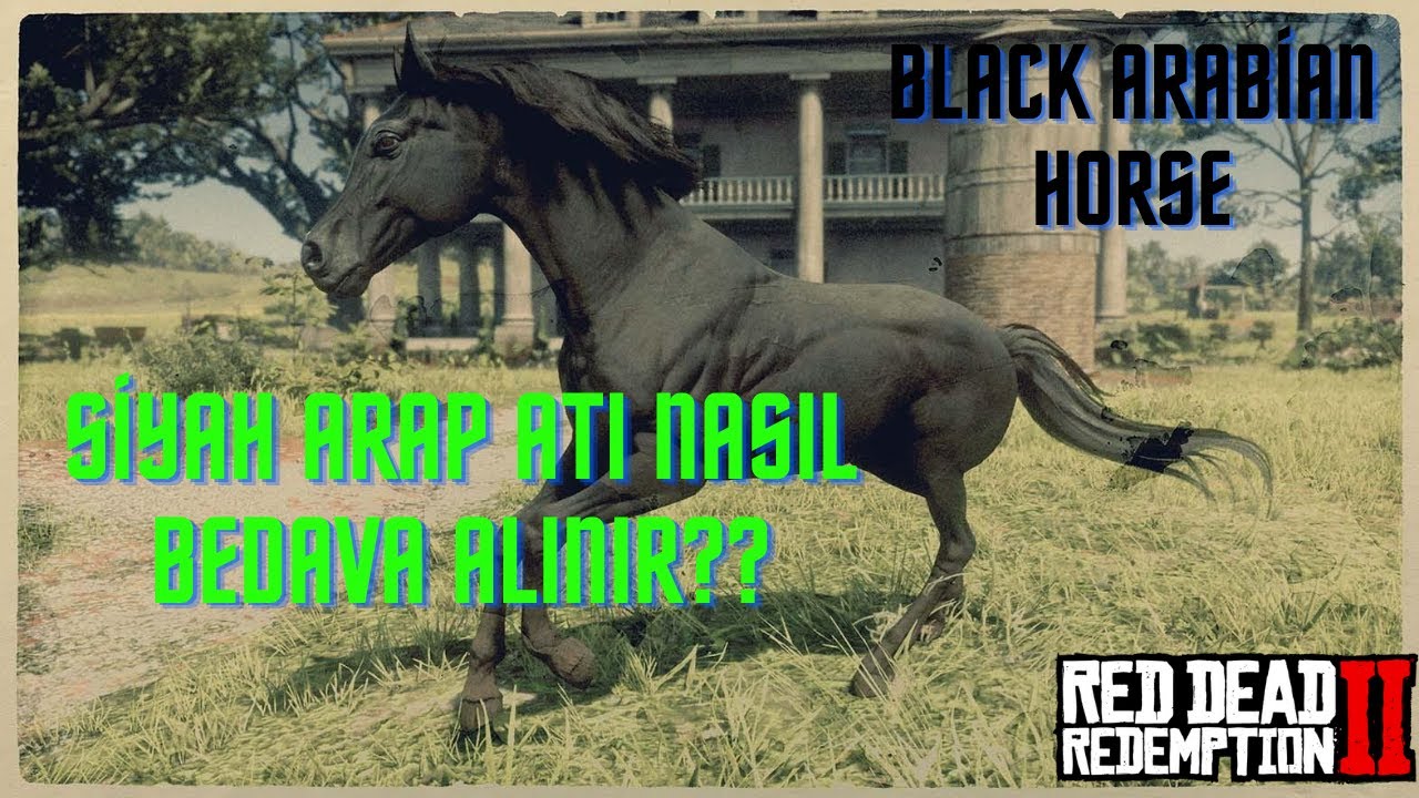 RDR2| Red Dead Redemption 2 SİYAH ARAP ATI NASIL BULUNUR?   [BLACK ARABİAN HORSE] TÜRKÇE