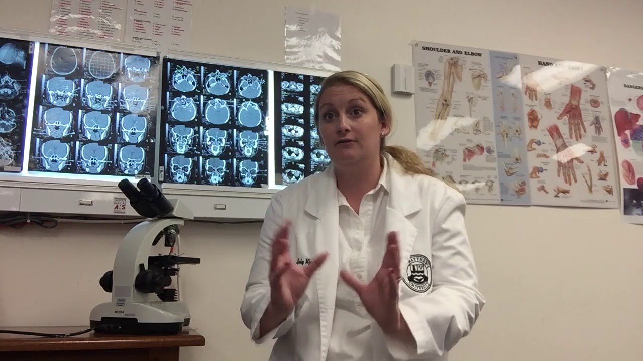 Medical Student Lesley Wyne explains what it is like to be a student at St. Matthew's University