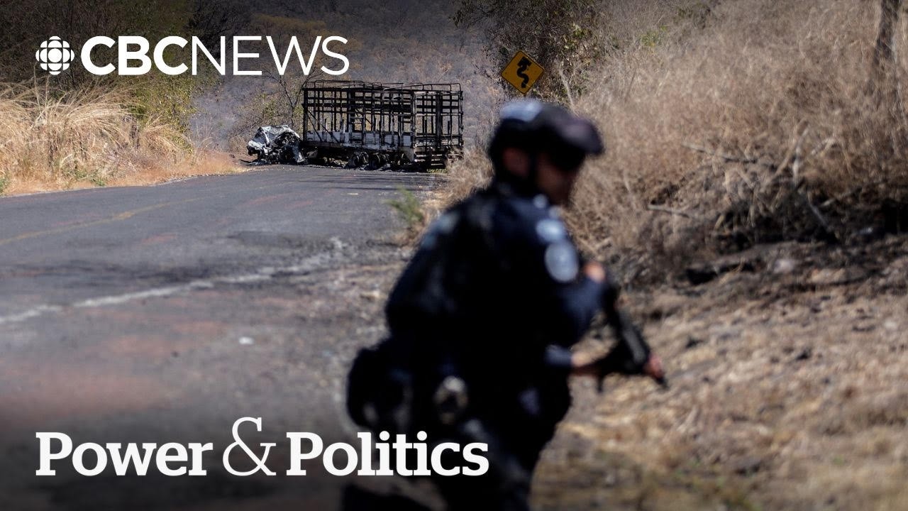 It's time for Mexico to 'reduce' cartel influence: Former Mexican lawmaker | Power & Politics
