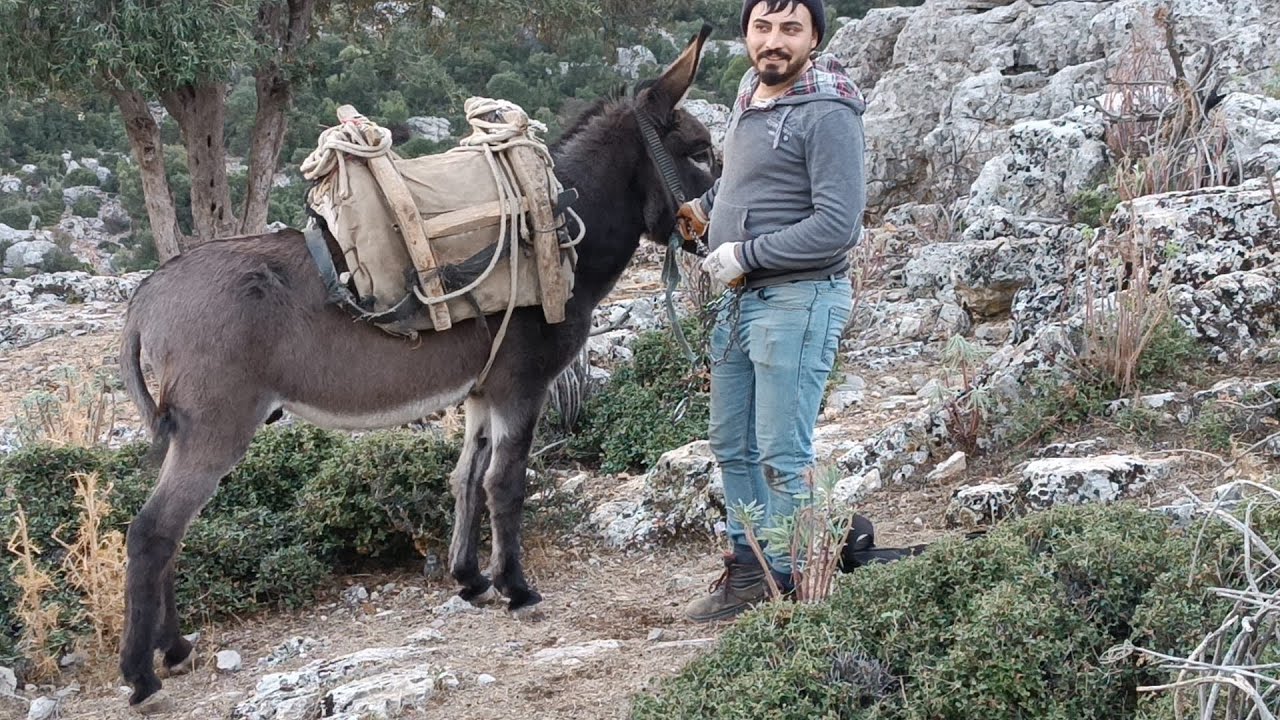 Antalya Döşemealtı AKKOÇ Köyü Garkın