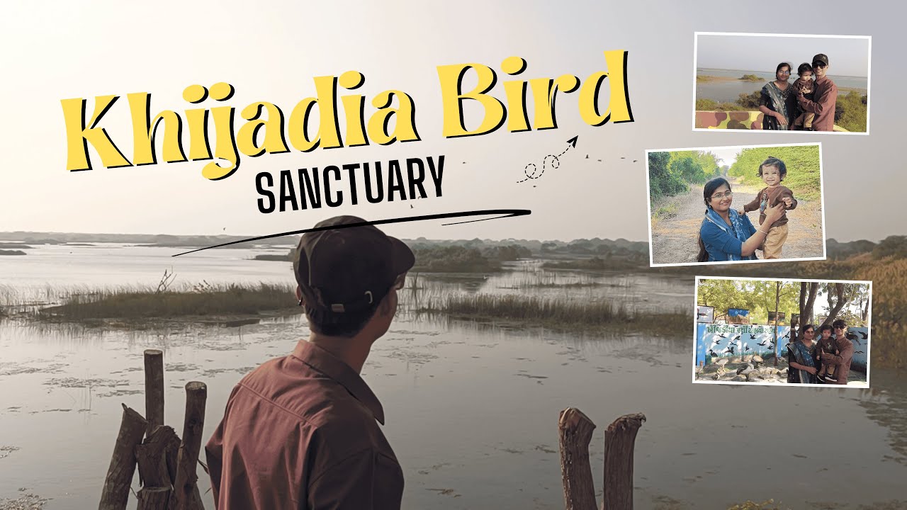 Khijadia Bird Sanctuary | Jamnagar