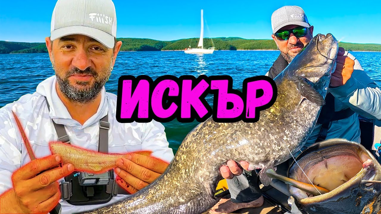 КОСТУР изяжда ЩУКА! СОМ на МИДИ от Лидъл! Catch & Cook на яз. Искър!