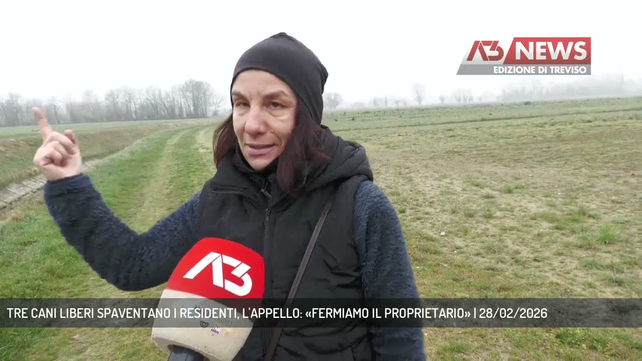 TRE CANI LIBERI SPAVENTANO I RESIDENTI, L'APPELLO: «FERMIAMO IL PROPRIETARIO» | 28/02/2026