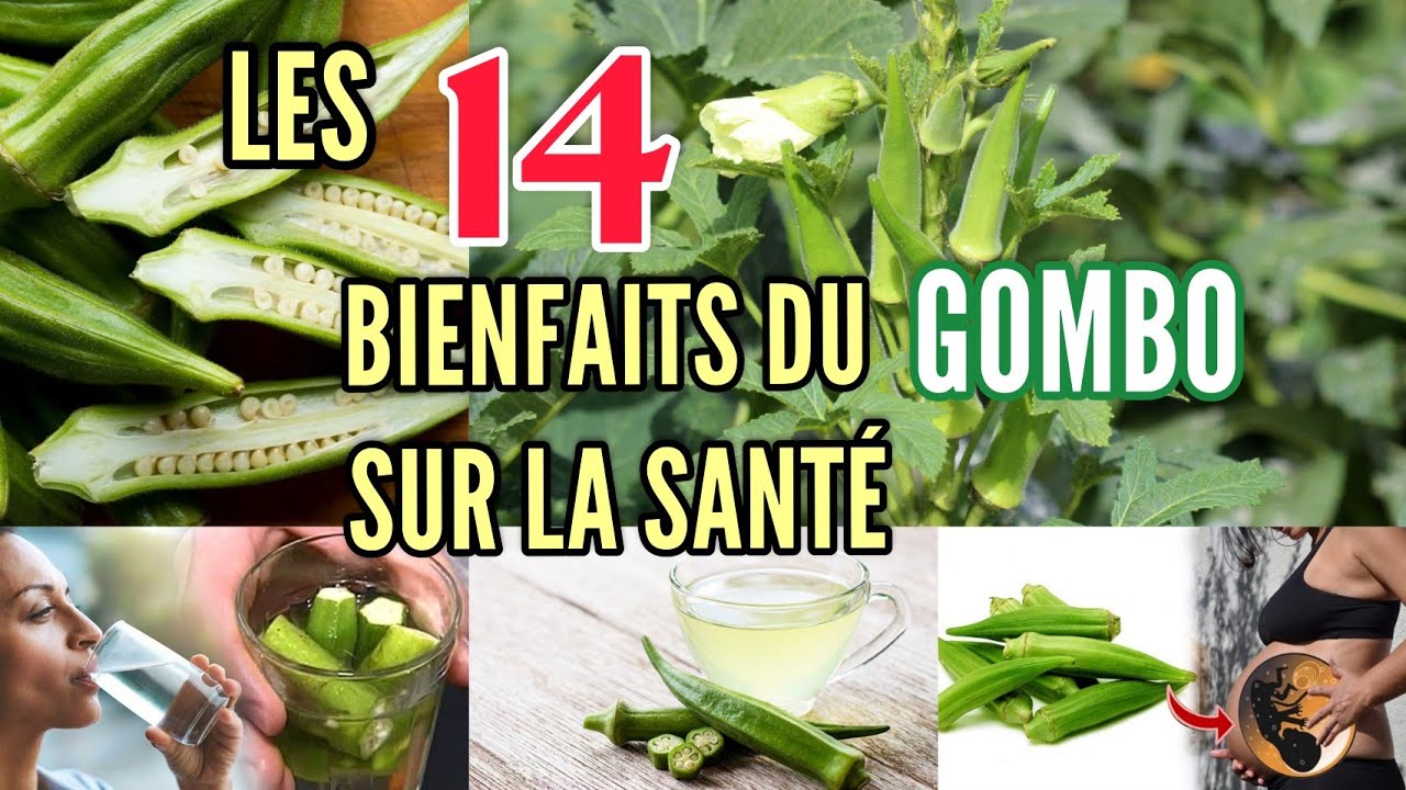 Les 14 bienfaits du gombo sur votre santé